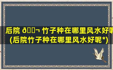 后院 🐬 竹子种在哪里风水好呢(后院竹子种在哪里风水好呢*
)